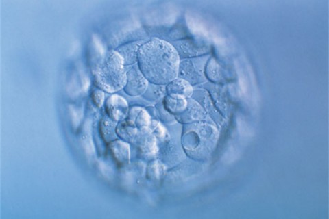 http://tianjin.quanwangkm.com/post/190.html|天津人工试管