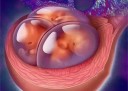 什么时候同房容易天津代怀孕